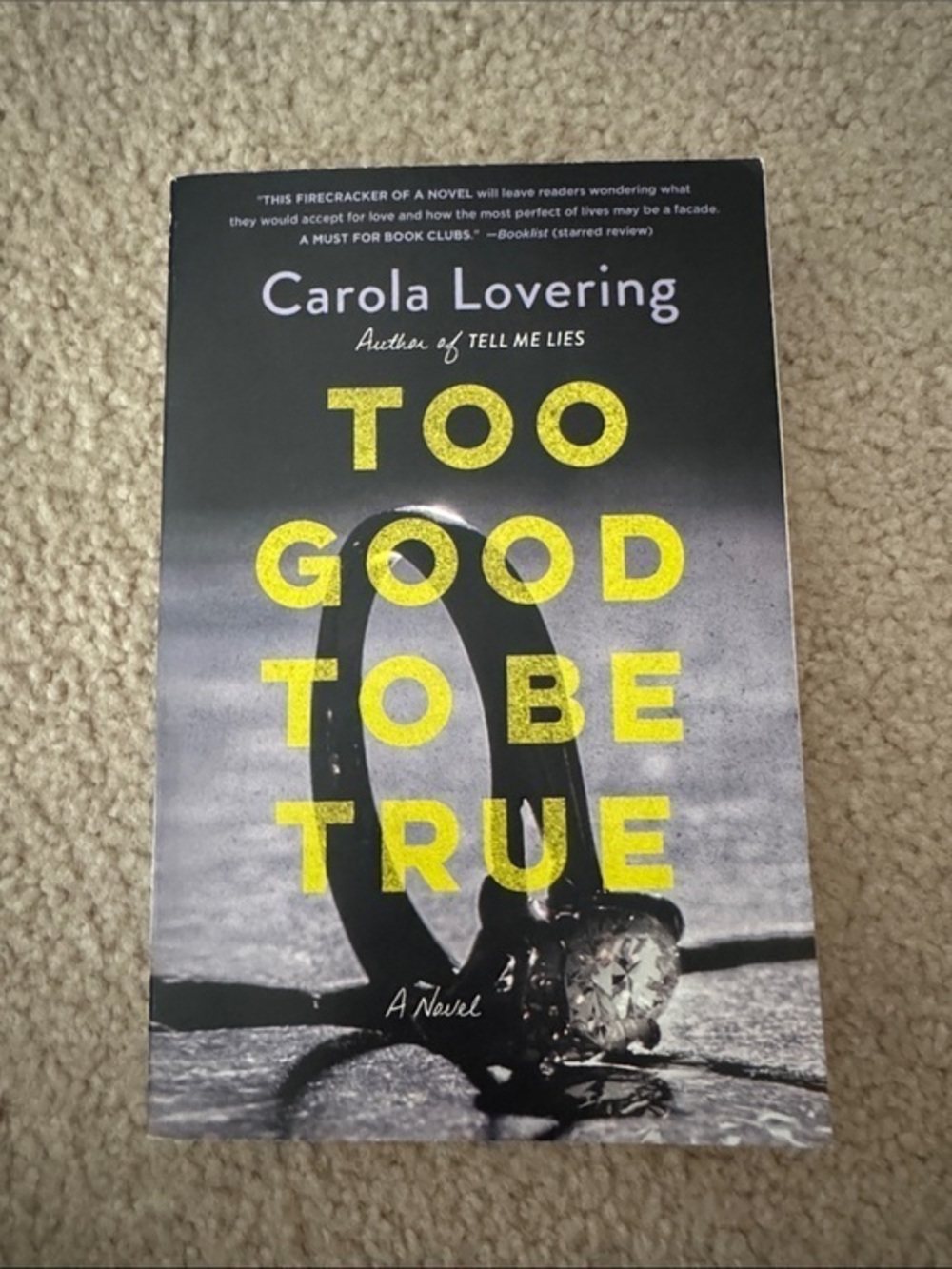 Too Good to Be True Carola Lovering Paperback Book